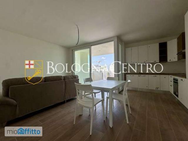 Appartamento arredato con terrazzo Bolognina