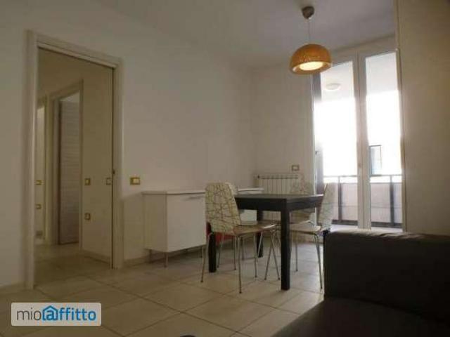 Appartamento arredato con terrazzo Bolognina