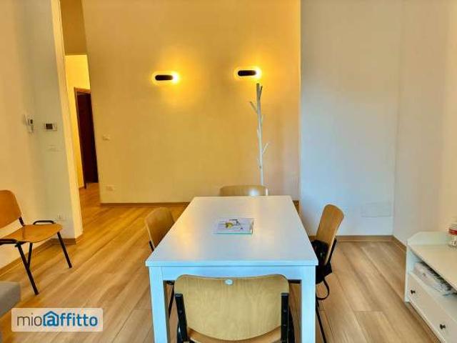 Appartamento arredato con terrazzo Bolognina