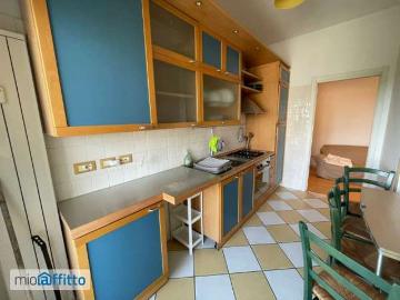 Appartamento arredato con terrazzo Bolognina