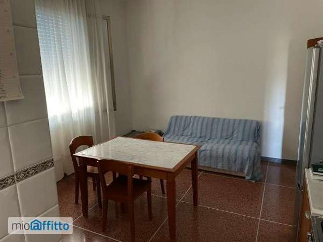 Appartamento arredato con terrazzo Bolognina