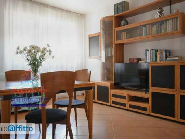 Appartamento arredato con terrazzo Bolognina