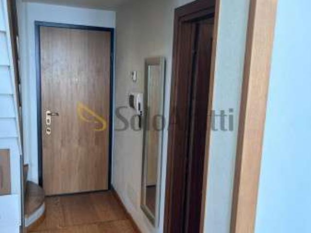 Appartamento arredato con terrazzo Campo di marte