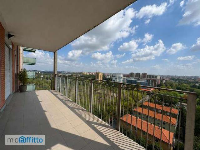 Appartamento arredato con terrazzo Cascina gatti