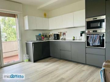 Appartamento arredato con terrazzo Caselle