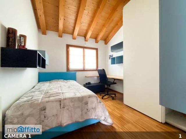 Appartamento arredato con terrazzo Castelfranco Veneto