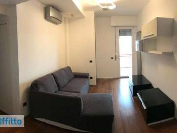Appartamento arredato con terrazzo Carugate