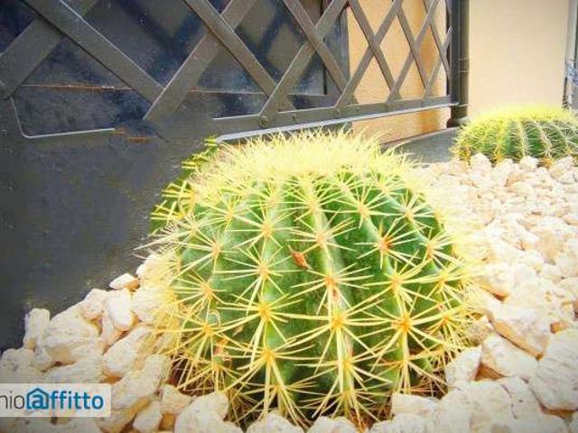 Appartamento arredato con terrazzo Catania