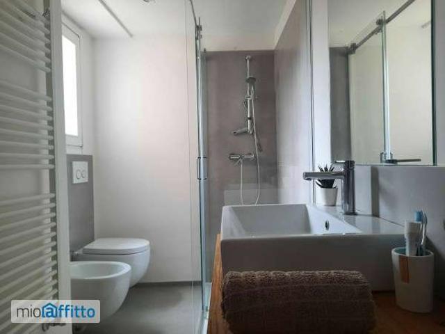 Appartamento arredato con terrazzo Centro