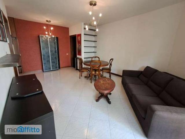 Appartamento arredato con terrazzo Centro