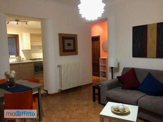 Appartamento arredato con terrazzo Centro