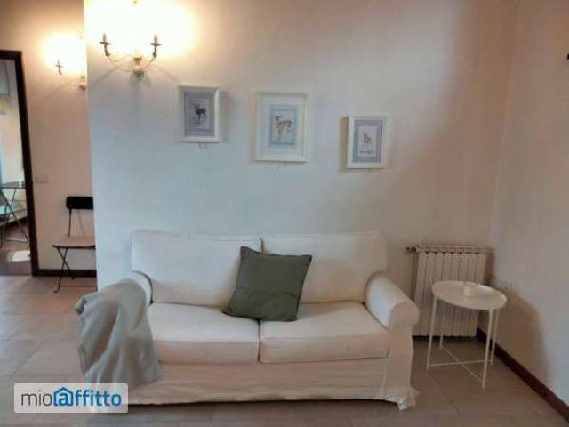 Appartamento arredato con terrazzo Centro