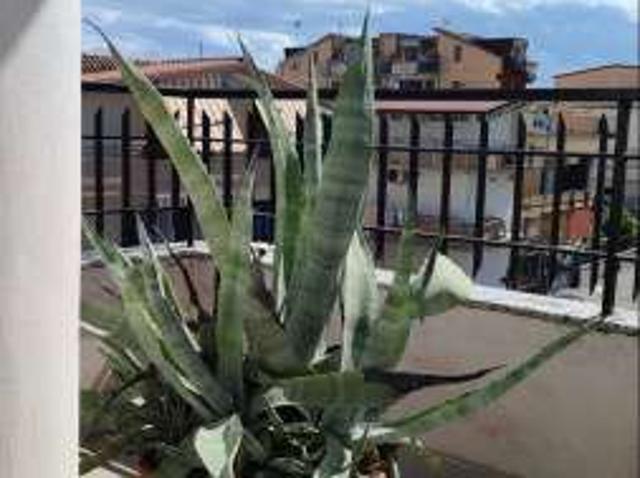 Appartamento arredato con terrazzo Centro