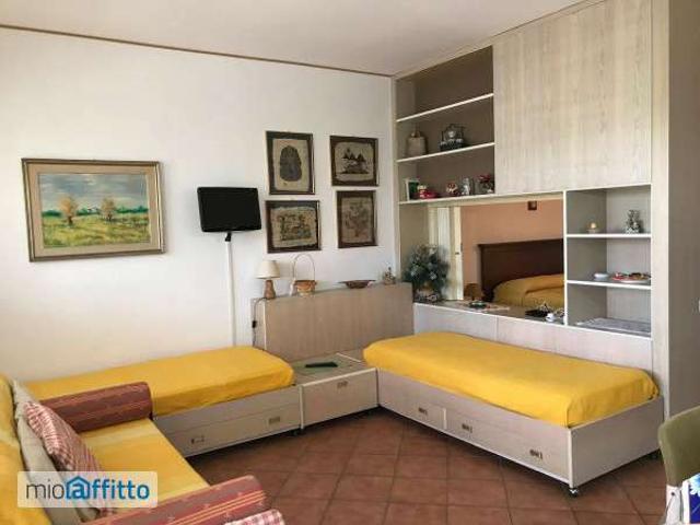 Appartamento arredato con terrazzo Centro
