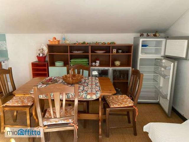 Appartamento arredato con terrazzo Centro