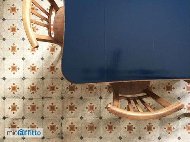 Appartamento arredato con terrazzo Centro