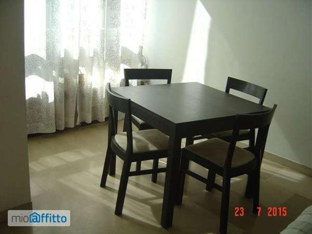 Appartamento arredato con terrazzo Centro