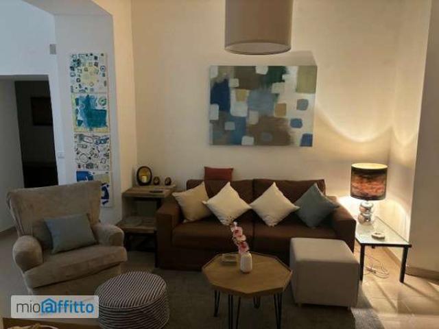 Appartamento arredato con terrazzo Centro