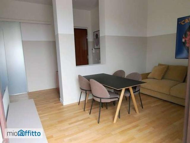 Appartamento arredato con terrazzo Centro