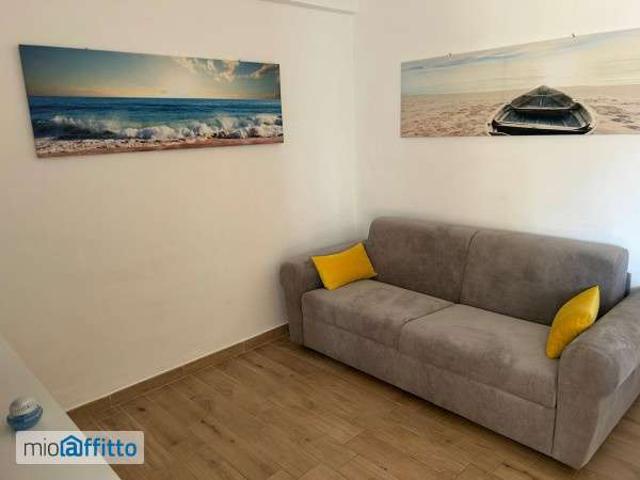Appartamento arredato con terrazzo Centro