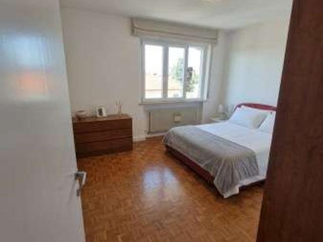 Appartamento arredato con terrazzo Centro