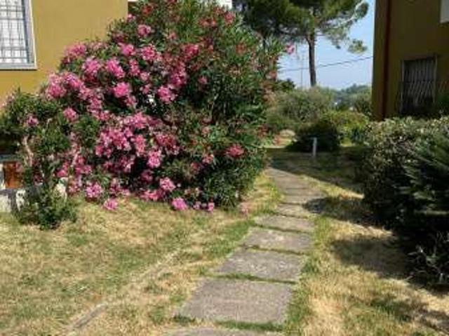 Appartamento arredato con terrazzo Centro