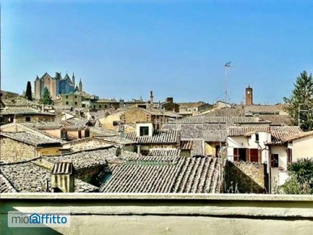 Appartamento arredato con terrazzo Centro