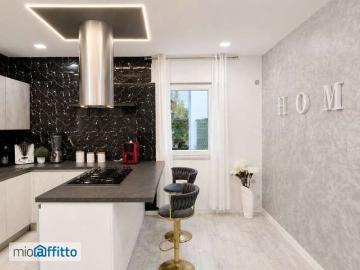 Appartamento arredato con terrazzo Centro