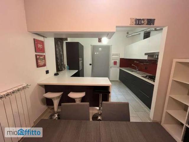 Appartamento arredato con terrazzo Centro