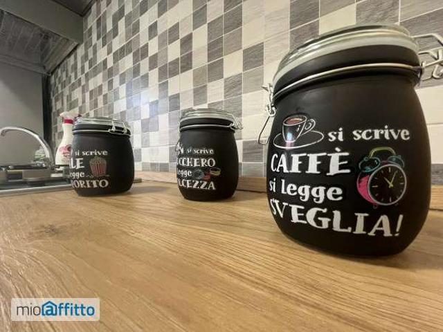 Appartamento arredato con terrazzo Centro