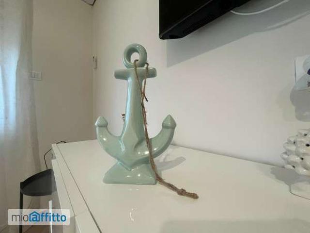 Appartamento arredato con terrazzo Centro
