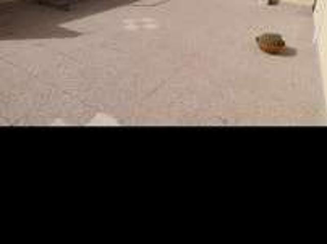 Appartamento arredato con terrazzo Centro