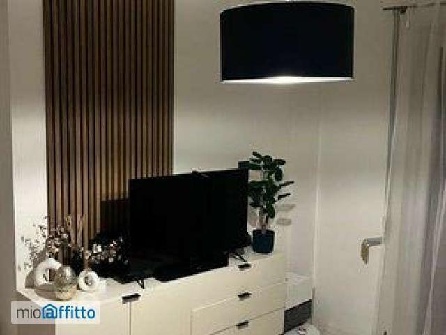 Appartamento arredato con terrazzo Centro