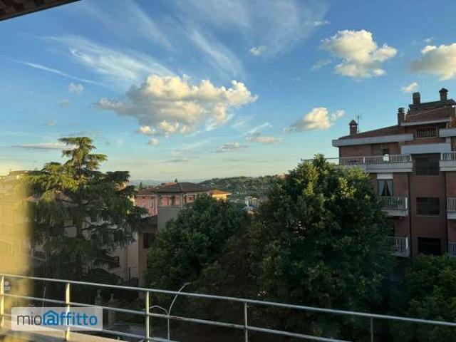 Appartamento arredato con terrazzo Centro, elce centro