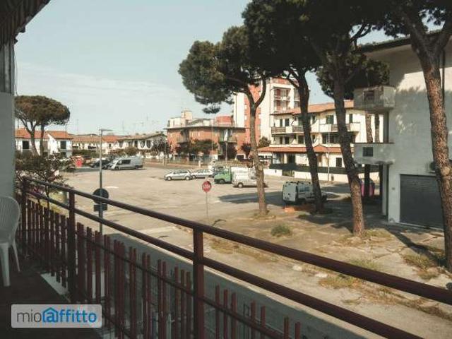 Appartamento arredato con terrazzo Comacchio