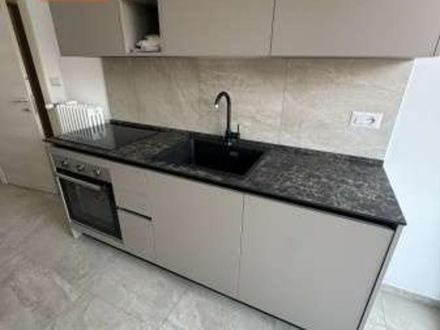 Appartamento arredato con terrazzo Crocetta