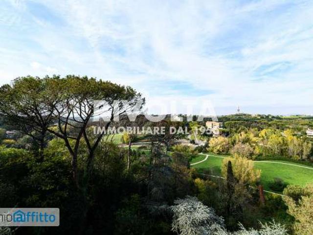 Appartamento arredato con terrazzo Flaminio, fleming, vigna clara, camilluccia