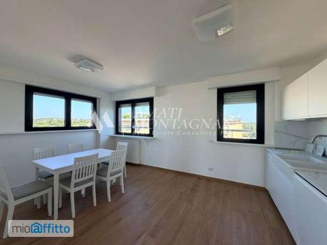 Appartamento arredato con terrazzo Flaminio, fleming, vigna clara, camilluccia