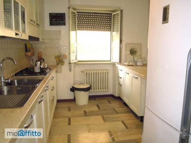 Appartamento arredato con terrazzo Giustiniana, olgiata, cesano