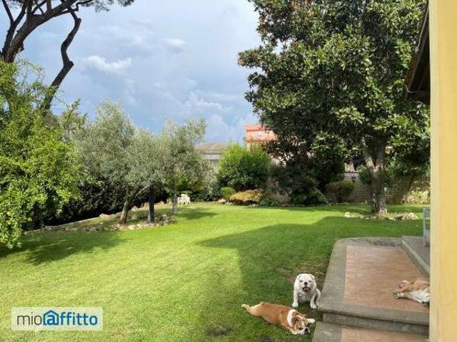 Appartamento arredato con terrazzo Giustiniana, olgiata, cesano