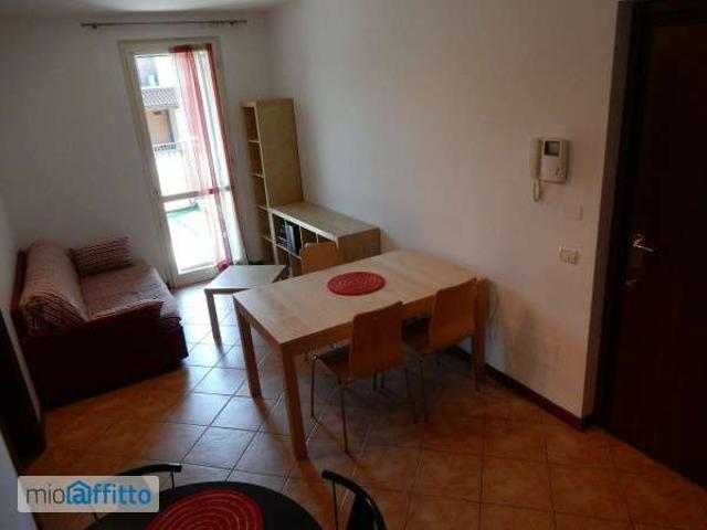 Appartamento arredato con terrazzo Pavia