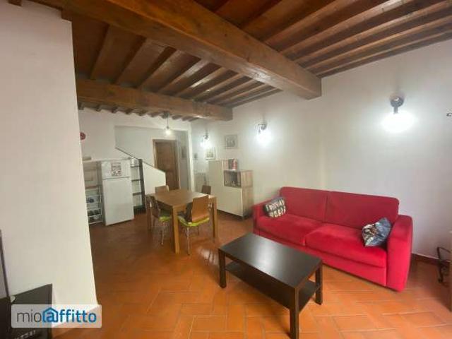 Appartamento arredato con terrazzo Rifredi
