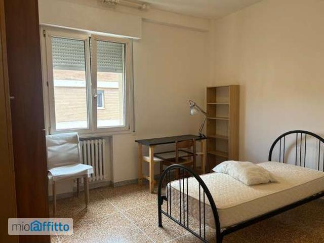 Appartamento arredato con terrazzo San donato