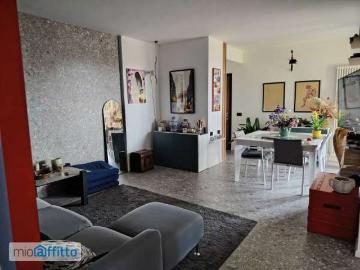 Appartamento arredato con terrazzo Segrate
