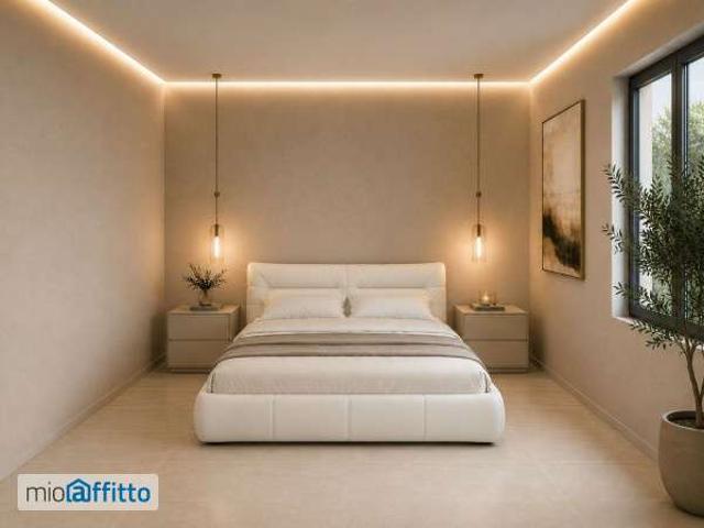 Appartamento arredato con terrazzo Torino