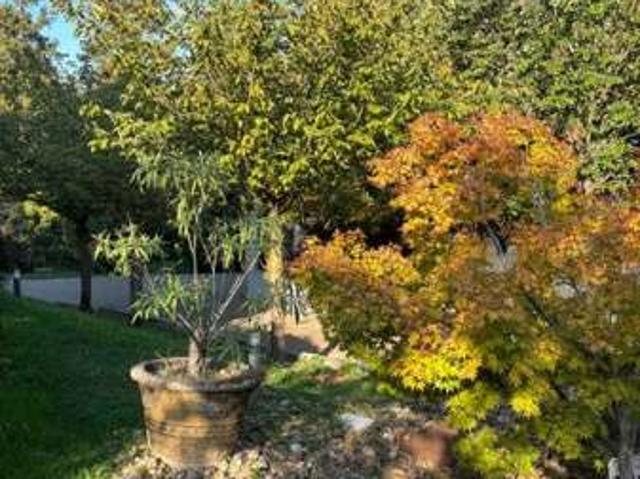 Appartamento arredato con terrazzo Torino