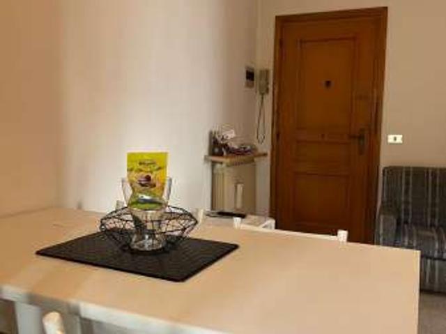 Bilocale arredato con terrazzo Torre del lago