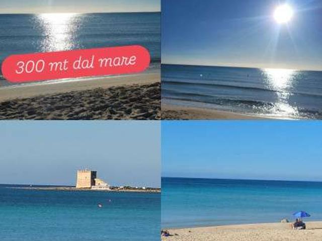Appartamento arredato con terrazzo Torre lapillo