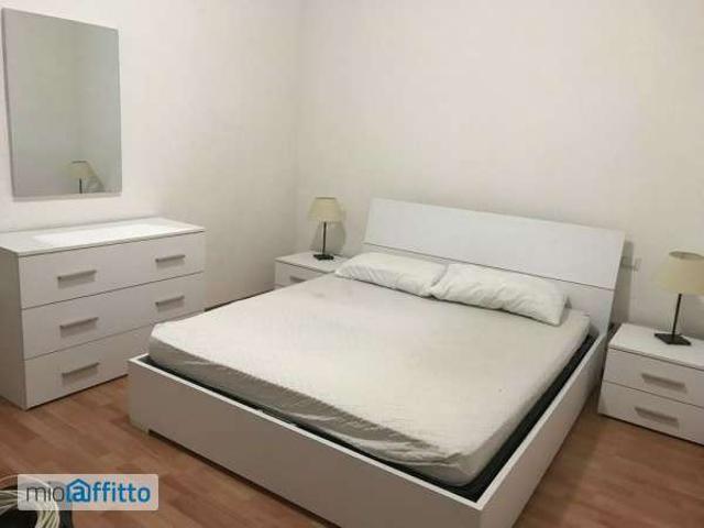 Appartamento arredato con terrazzo Vimodrone