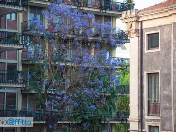 Appartamento arredato Catania